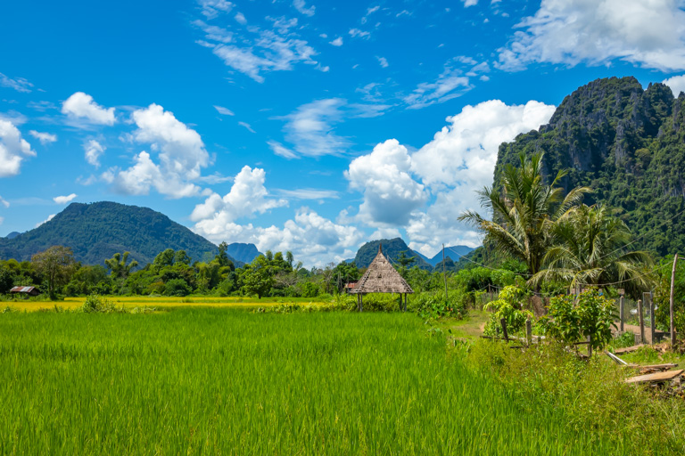 von Bergen umrahmte Reisfelder in Vang Vieng