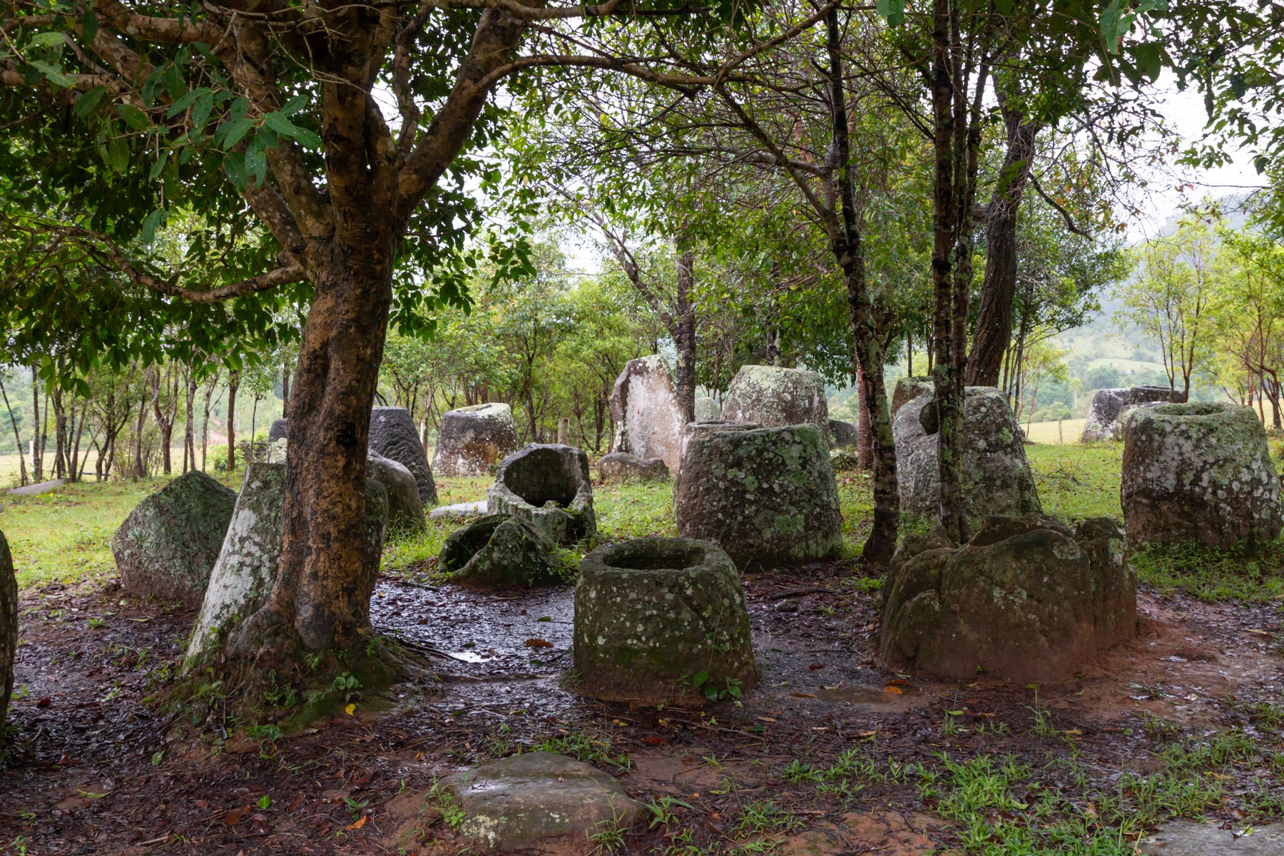 Gruppe von Steingefäßen unter Bäumen in der Regenzeit