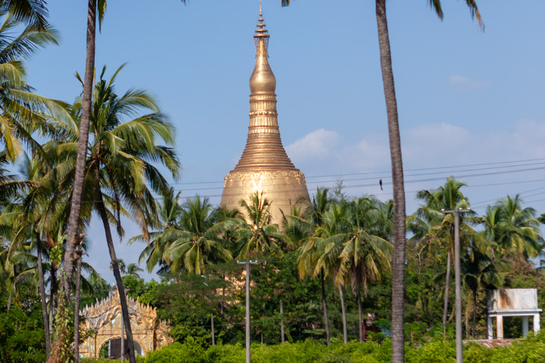 die vergoldete Stupa der Shwe Maw Daw Pagode hinter einem Palmenhain